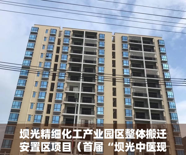 坝光精细化工产业园区整体搬迁安置区项目（首届“坝光中医现代化论坛”暨招商大会在深圳葵涌举办）