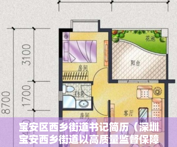 宝安区西乡街道书记简历（深圳宝安西乡街道以高质量监督保障高质量发展）