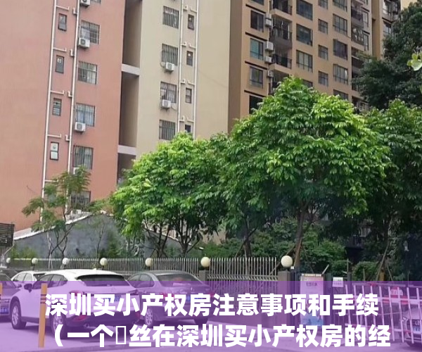 深圳买小产权房注意事项和手续（一个屌丝在深圳买小产权房的经历）(深圳买小产权可靠吗)