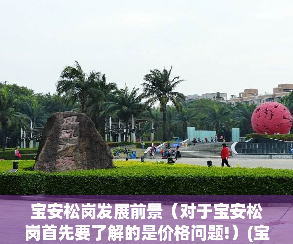 宝安松岗发展前景（对于宝安松岗首先要了解的是价格问题!）(宝安区松岗街道重大项目)