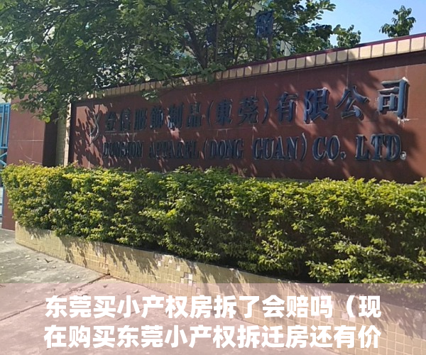 东莞买小产权房拆了会赔吗（现在购买东莞小产权拆迁房还有价值吗？）