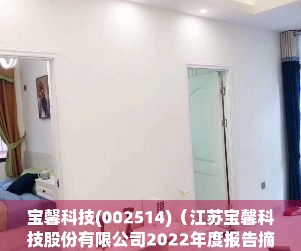宝馨科技(002514)（江苏宝馨科技股份有限公司2022年度报告摘要）(宝馨科技(002514)最新消息)