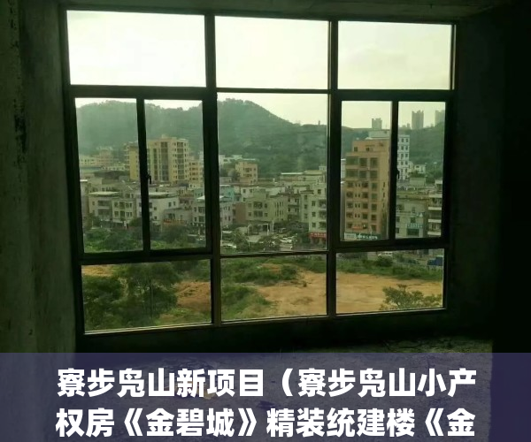寮步凫山新项目（寮步凫山小产权房《金碧城》精装统建楼《金碧城）(寮步凫山商业街)