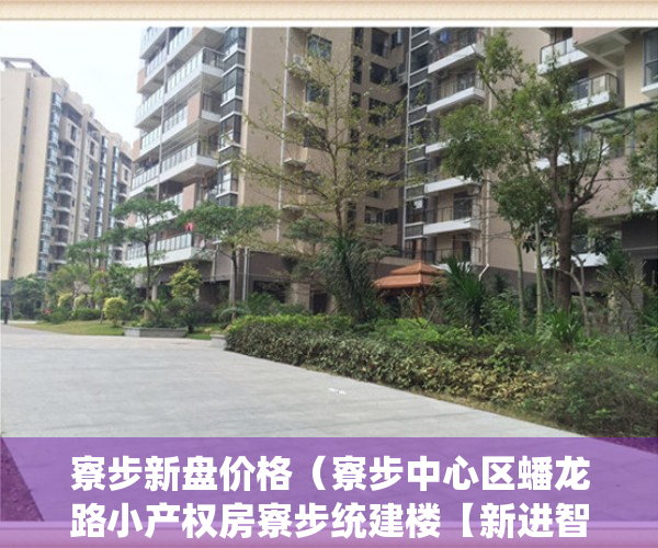 寮步新盘价格（寮步中心区蟠龙路小产权房寮步统建楼【新进智谷】寮步最新开盘小产权房【新进智谷】6栋大规模小区花园房 环境优美 带停车场 户型方正）