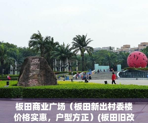 板田商业广场（板田新出村委楼价格实惠，户型方正）(板田旧改最新消息)
