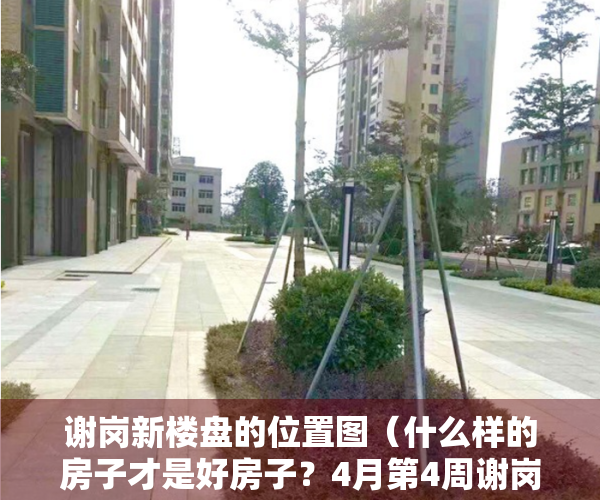 谢岗新楼盘的位置图（什么样的房子才是好房子？4月第4周谢岗这些小区值得关注）