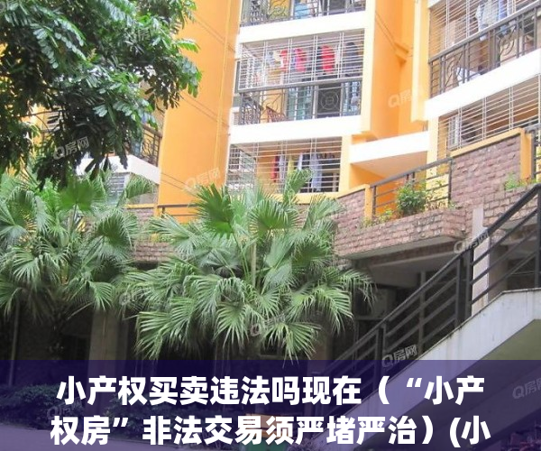 小产权买卖违法吗现在（“小产权房”非法交易须严堵严治）(小产权房买卖有什么风险)
