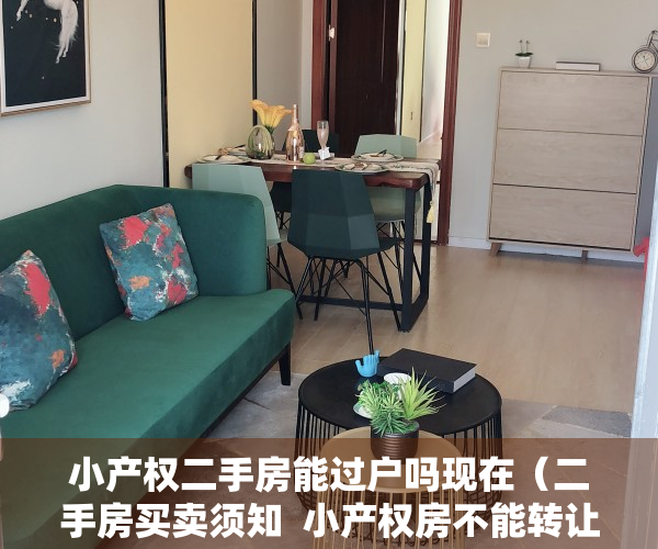 小产权二手房能过户吗现在（二手房买卖须知  小产权房不能转让？其实，这几类房也禁止转让）