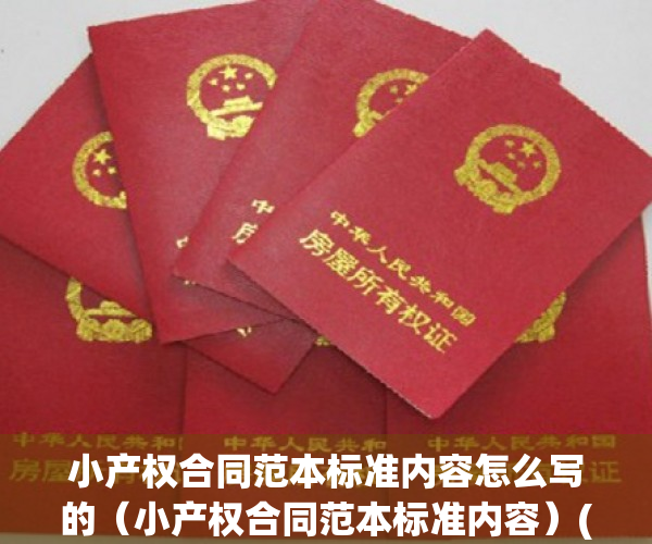 小产权合同范本标准内容怎么写的（小产权合同范本标准内容）(小产权合同样本)