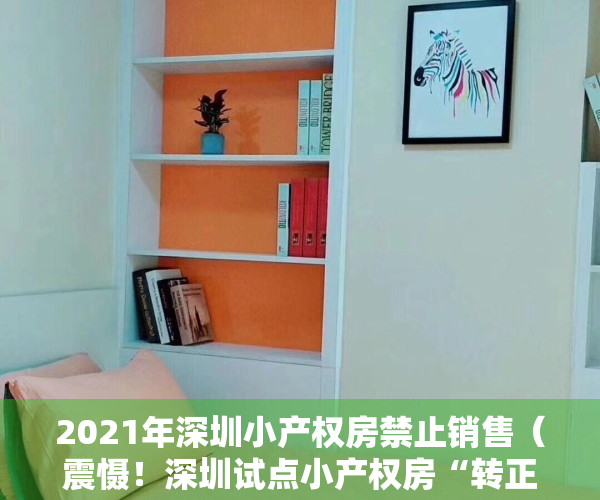 2021年深圳小产权房禁止销售（震慑！深圳试点小产权房“转正”：仅限一小批原村民）