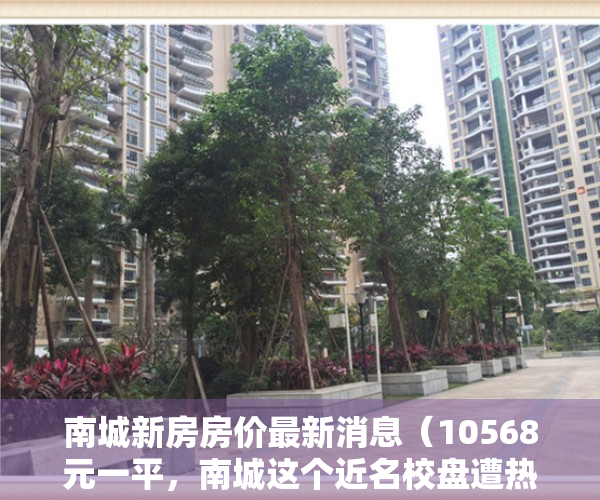 南城新房房价最新消息（10568元一平，南城这个近名校盘遭热抢   幸福里有好房）