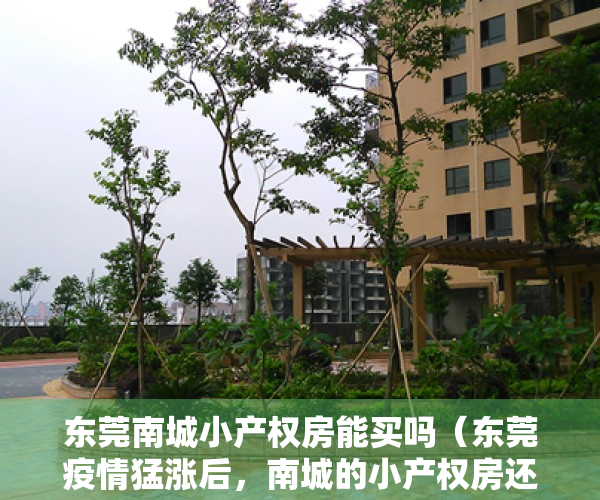 东莞南城小产权房能买吗（东莞疫情猛涨后，南城的小产权房还值得购买吗？）