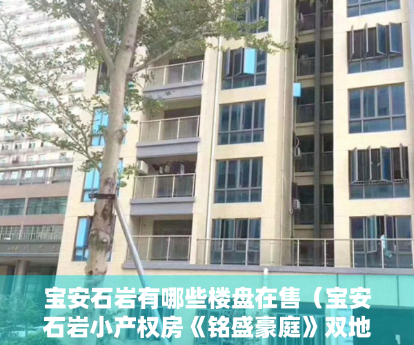 宝安石岩有哪些楼盘在售（宝安石岩小产权房《铭盛豪庭》双地铁口精装两房）