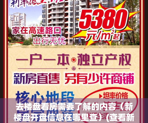去楼盘看房需要了解的内容（新楼盘开盘信息在哪里查）(查看新楼盘用什么软件好)
