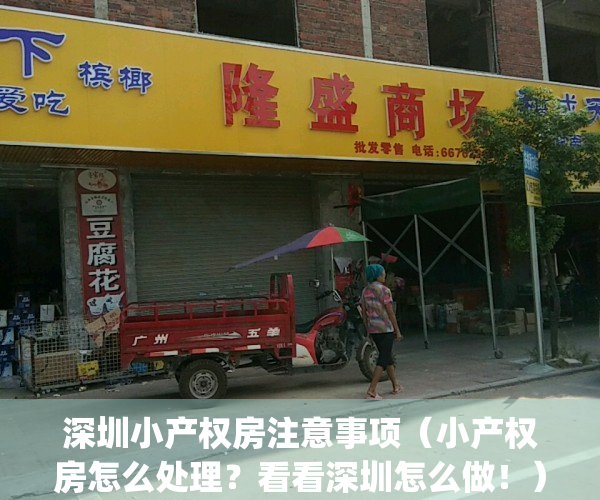 深圳小产权房注意事项（小产权房怎么处理？看看深圳怎么做！）(深圳小产权房新证策)