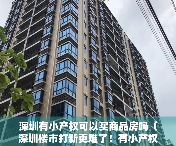 深圳有小产权可以买商品房吗（深圳楼市打新更难了！有小产权房不能买，疑似炒房不能买……网友：有一种拒绝叫万悦山）