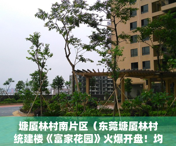 塘厦林村南片区（东莞塘厦林村统建楼《富家花园》火爆开盘！均价4380元起）