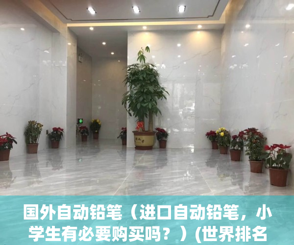 国外自动铅笔（进口自动铅笔，小学生有必要购买吗？）(世界排名前十的自动铅笔)