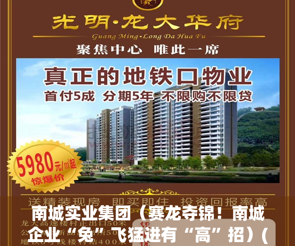 南城实业集团（赛龙夺锦！南城企业“兔”飞猛进有“高”招）(南城集团股份有限公司)