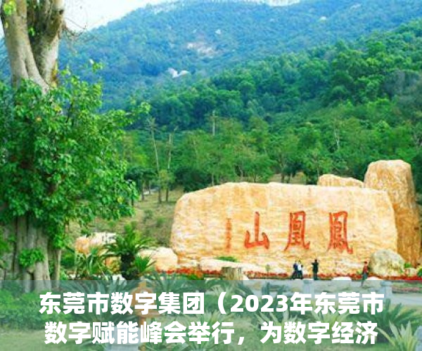 东莞市数字集团（2023年东莞市数字赋能峰会举行，为数字经济行业发展建言献策）
