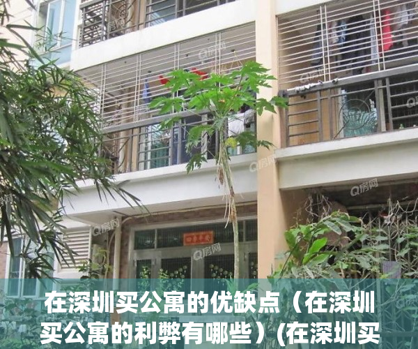 在深圳买公寓的优缺点（在深圳买公寓的利弊有哪些）(在深圳买公寓划算吗)