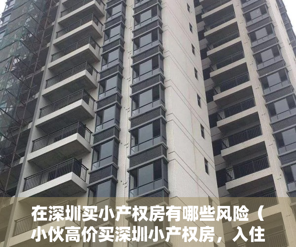 在深圳买小产权房有哪些风险（小伙高价买深圳小产权房，入住后痛苦不堪，直呼倒贴钱也不买了！）