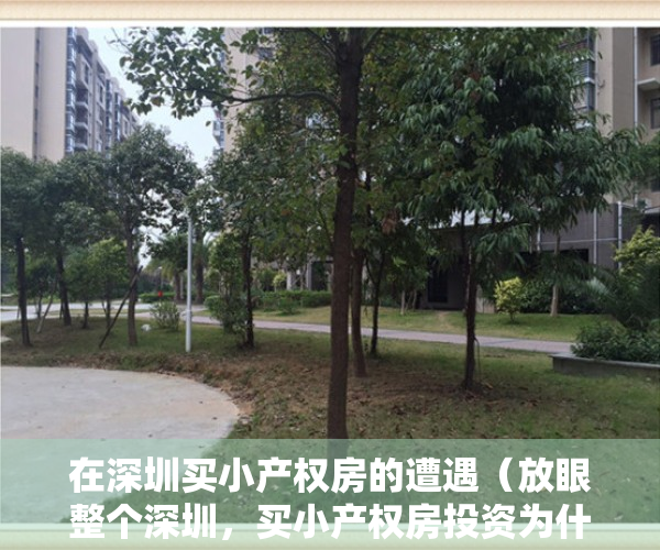 在深圳买小产权房的遭遇（放眼整个深圳，买小产权房投资为什么要买在罗湖？）