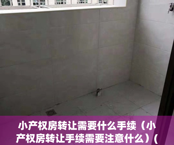 小产权房转让需要什么手续（小产权房转让手续需要注意什么）(小产权房转让协议范本)