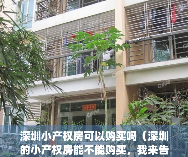 深圳小产权房可以购买吗（深圳的小产权房能不能购买，我来告诉你。）(深圳小产权房到底可不可以买)