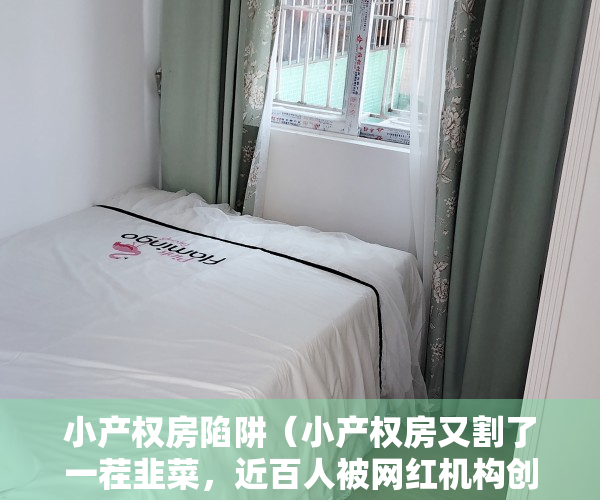小产权房陷阱（小产权房又割了一茬韭菜，近百人被网红机构创始人骗走2亿元）