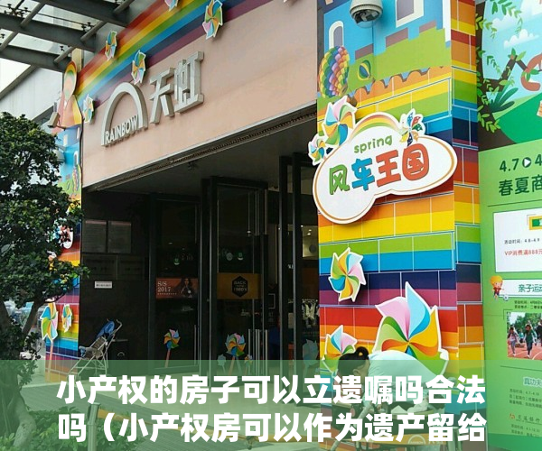 小产权的房子可以立遗嘱吗合法吗（小产权房可以作为遗产留给孩子吗？）