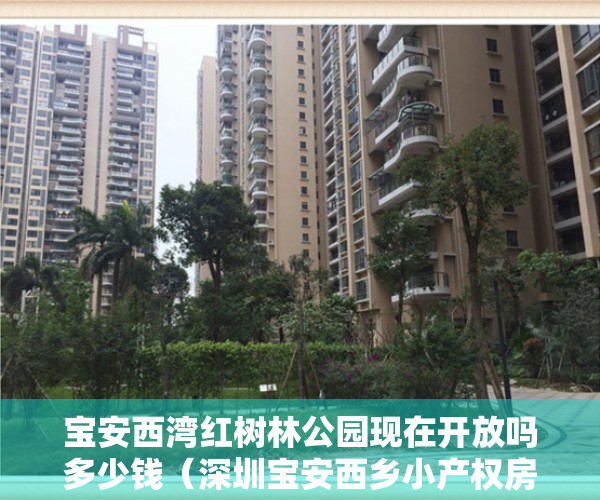 宝安西湾红树林公园现在开放吗多少钱（深圳宝安西乡小产权房宝安西乡红树湾公园）
