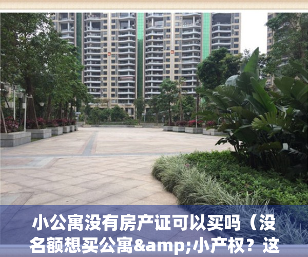 小公寓没有房产证可以买吗（没名额想买公寓&小产权？这些风险必须知道）(没房产证的公寓能买吗?受法律保护吗?)