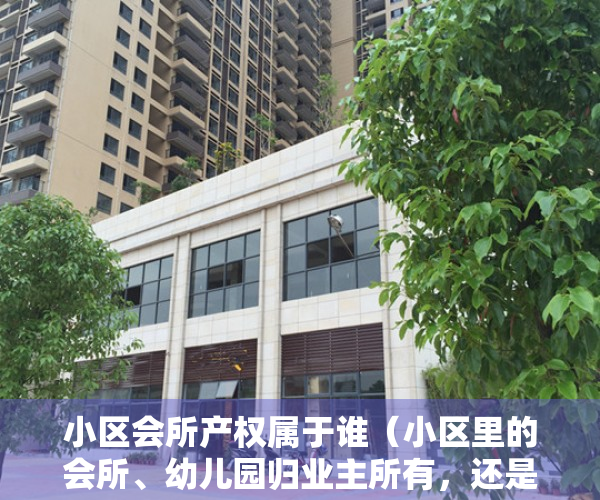 小区会所产权属于谁（小区里的会所、幼儿园归业主所有，还是开发商所有？）