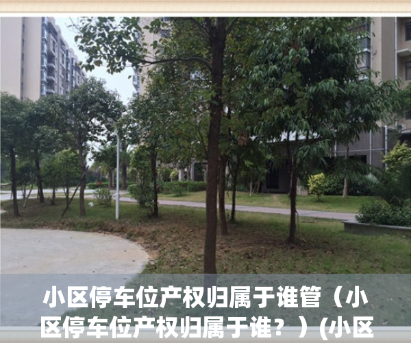 小区停车位产权归属于谁管（小区停车位产权归属于谁？）(小区停车位归业主所有?)