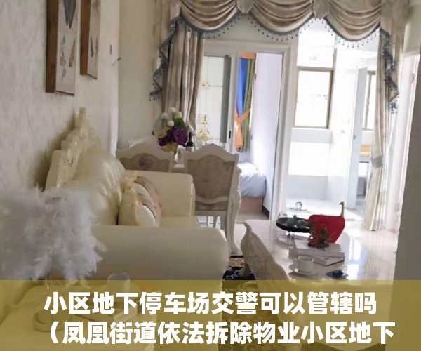 小区地下停车场交警可以管辖吗（凤凰街道依法拆除物业小区地下停车场12个违法搭建商铺深圳新闻网）