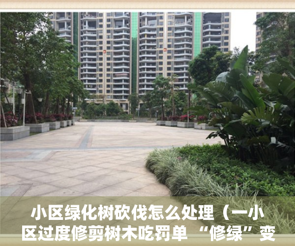 小区绿化树砍伐怎么处理（一小区过度修剪树木吃罚单 “修绿”变“毁绿” 相关行为已违反《深圳经济特区绿化条例》规定）