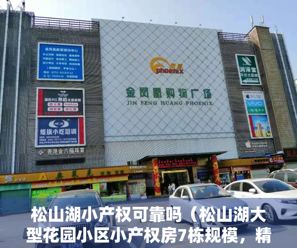 松山湖小产权可靠吗（松山湖大型花园小区小产权房7栋规模，精装现房出售 户型齐全）