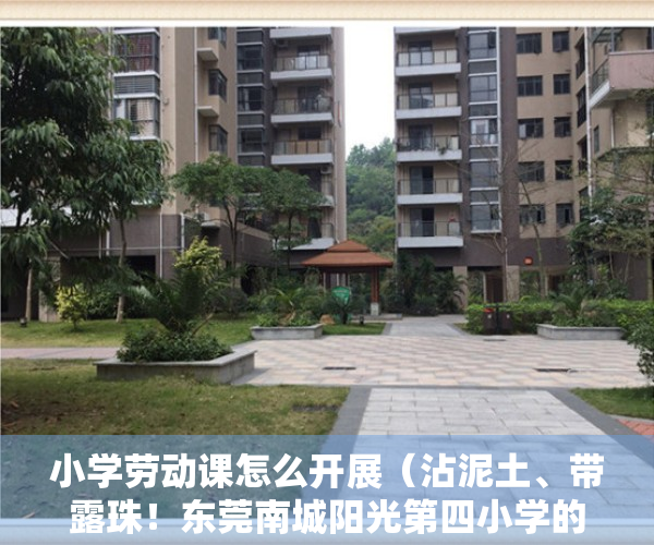 小学劳动课怎么开展（沾泥土、带露珠！东莞南城阳光第四小学的劳动课这样上）