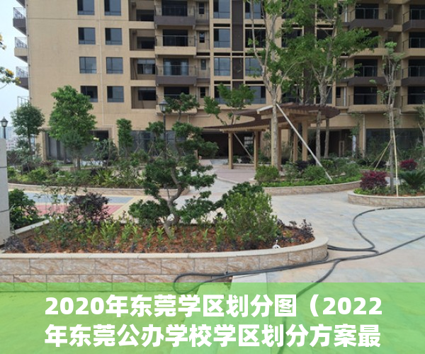 2020年东莞学区划分图（2022年东莞公办学校学区划分方案最新整理，你家划在哪个学区？）