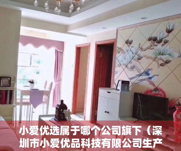 小爱优选属于哪个公司旗下（深圳市小爱优品科技有限公司生产销售抽检不合格充电器案）