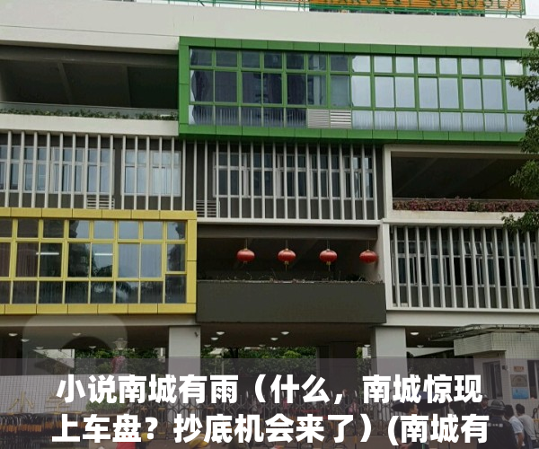 小说南城有雨（什么，南城惊现上车盘？抄底机会来了）(南城有雨小说全文 简介)