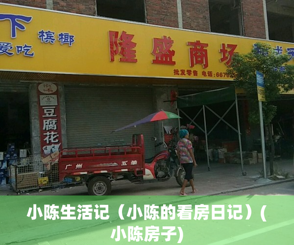 小陈生活记（小陈的看房日记）(小陈房子)