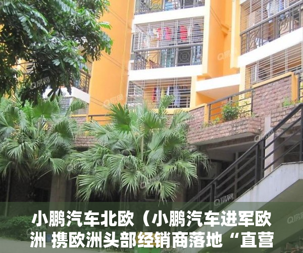 小鹏汽车北欧（小鹏汽车进军欧洲 携欧洲头部经销商落地“直营+授权”新零售模式）