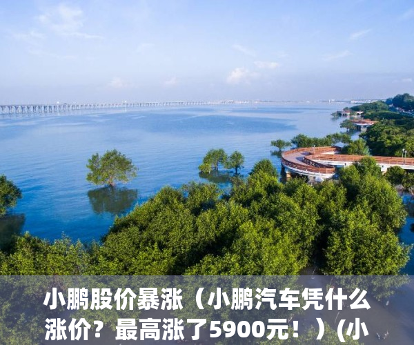 小鹏股价暴涨（小鹏汽车凭什么涨价？最高涨了5900元！）(小鹏 涨价)