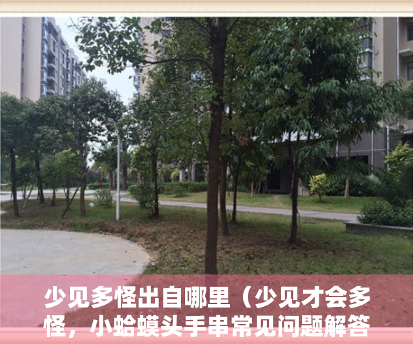 少见多怪出自哪里（少见才会多怪，小蛤蟆头手串常见问题解答）