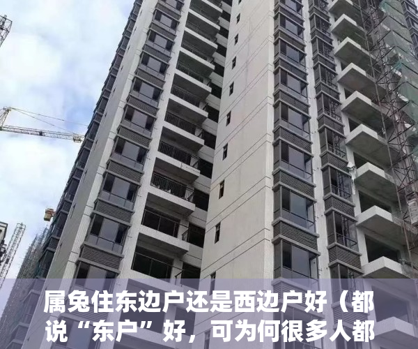 属兔住东边户还是西边户好（都说“东户”好，可为何很多人都跑去买“西户”？4个原因告诉你）