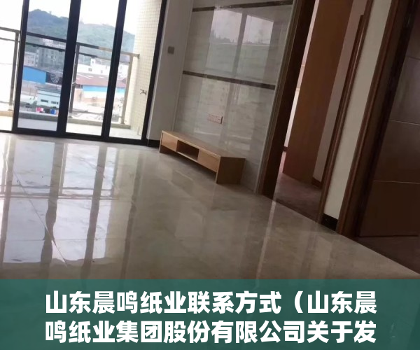 山东晨鸣纸业联系方式（山东晨鸣纸业集团股份有限公司关于发行股份及支付现金购买资产暨关联交易申请获得深圳证券交易所受理的公告）