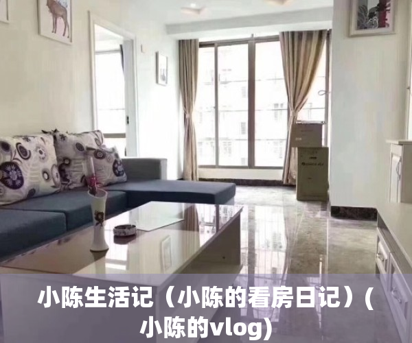 小陈生活记（小陈的看房日记）(小陈的vlog)