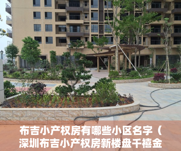 布吉小产权房有哪些小区名字（深圳布吉小产权房新楼盘千禧金奢领寓豪华装修10800元㎡）